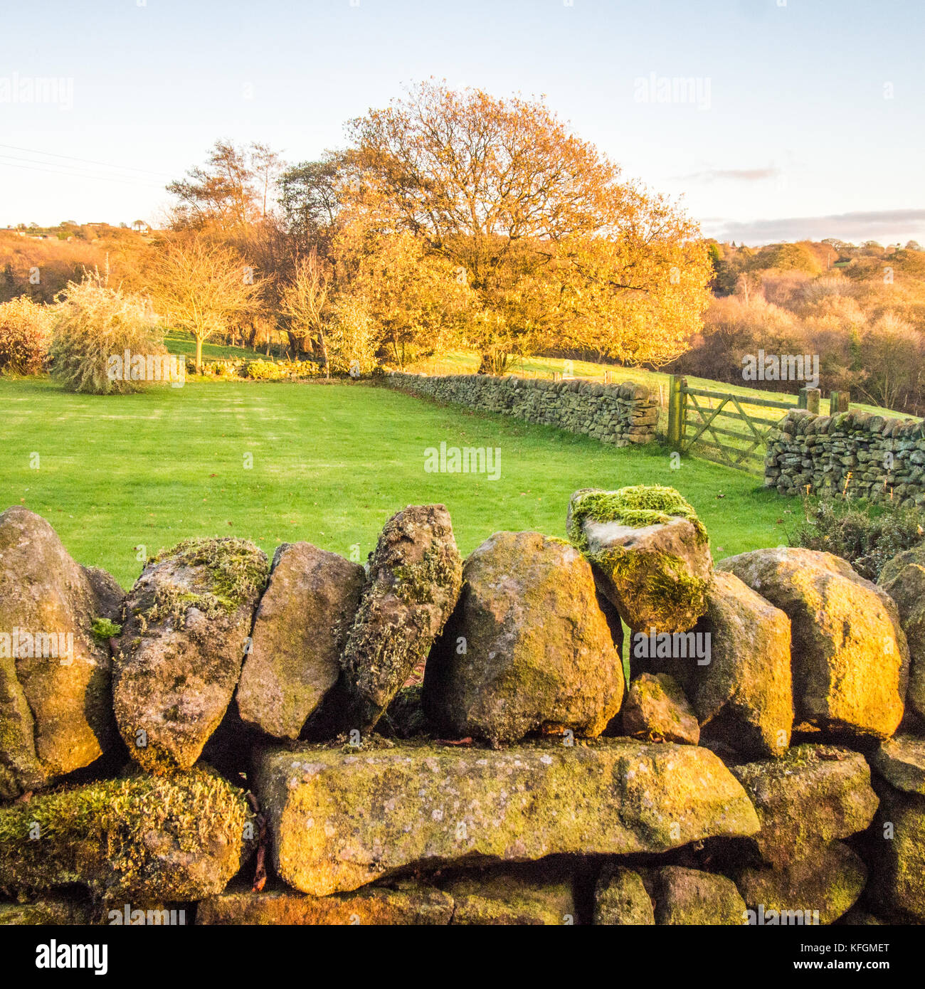 Trockenmauer & Felder im Biddulph, Staffordshire, England Stockfoto