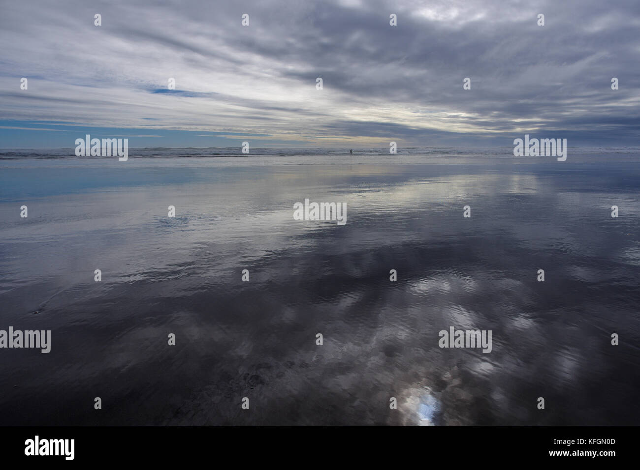 Wo Land, Meer und Himmel trifft - muriwai, Auckland Stockfoto