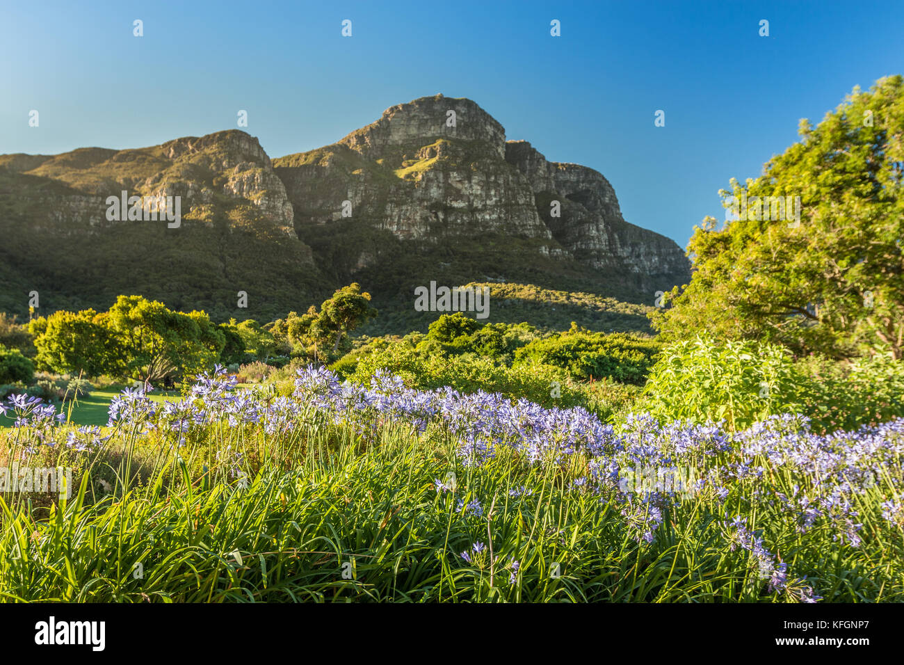 Botanisches interesse Fotos und Bildmaterial in hoher Auflösung Alamy