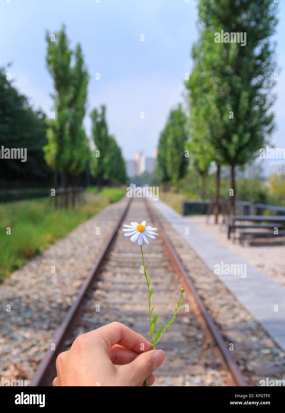 Hand, die Blume auf dem Bahnhof in Seoul, Korea Stockfoto