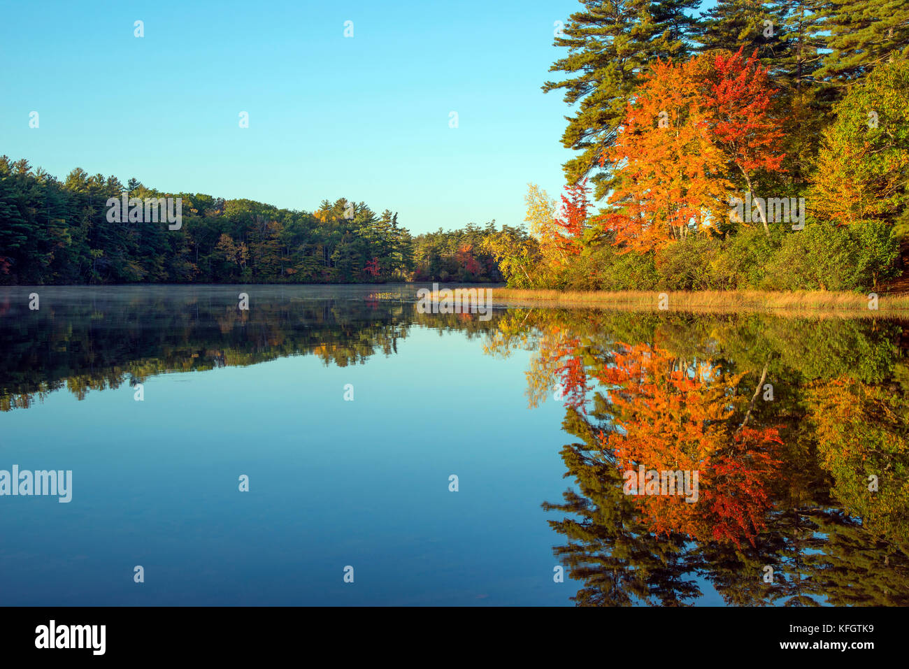 Herbstlaub am Kingston State Park in Kingston, New Hampshire, Rockingham County, im Oktober, in der Vor- und Nachsaison Stockfoto
