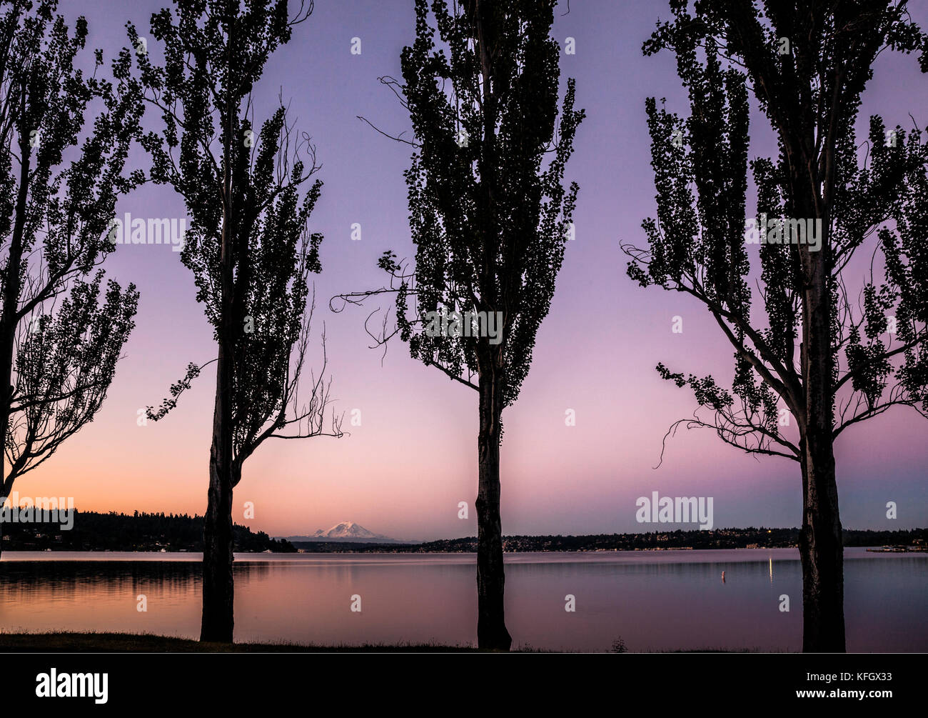 WA 14059-00 ... WASHINGTON - Mount Rainier und Lake Washington gesehen bei Sonnenaufgang von Seward Park in Seattle. Stockfoto