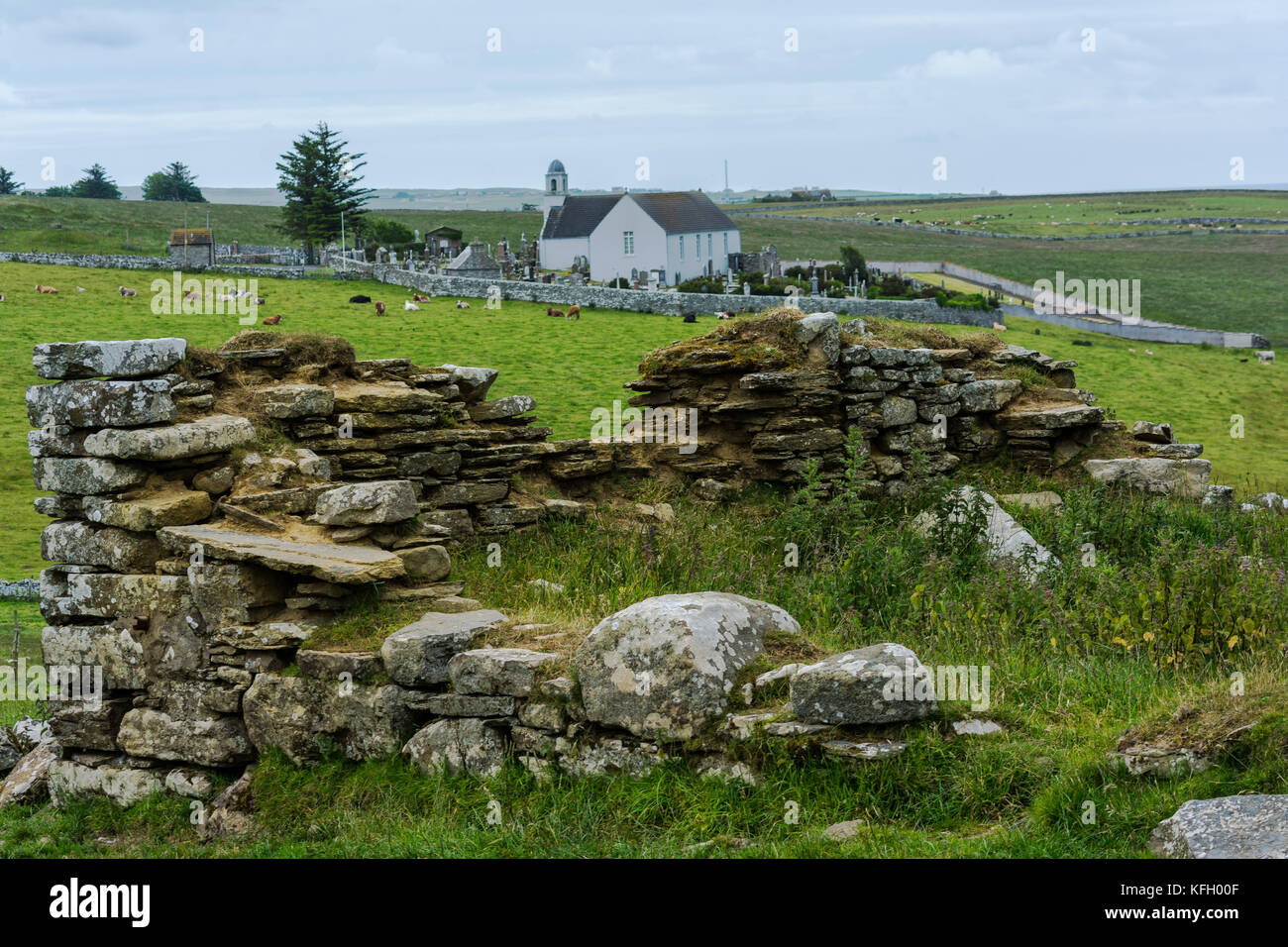 Latheron Kirche, caithness, Schottland, Vereinigtes Königreich Stockfoto