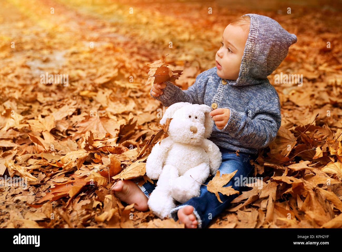Süße baby boy Spaß im Herbst Park, auf dem Boden sitzend mit trockenen Blättern im Wald bedeckt, wenig Baby spielt mit seinem besten Freund, weich Stockfoto