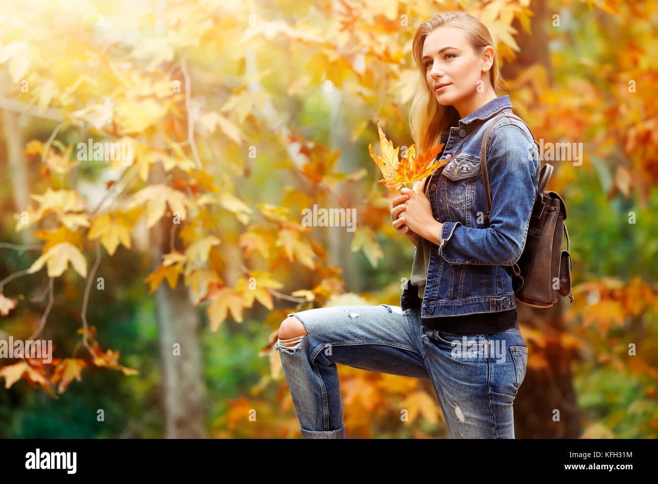 Hübsches Mädchen im Herbst Park, nette weibliche stehend mit trockenen Ahorn Blätter in den Händen und genießen letzten warmen sonnigen, herbstlichen Tagen Stockfoto