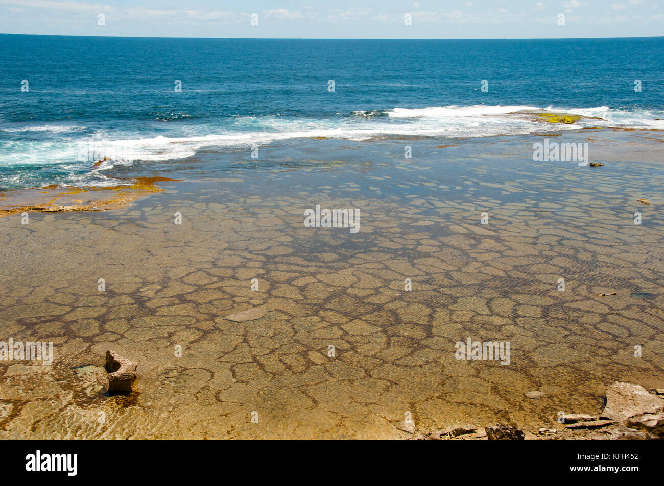 Cape vlamingh - Rottnest Island - Australien Stockfoto