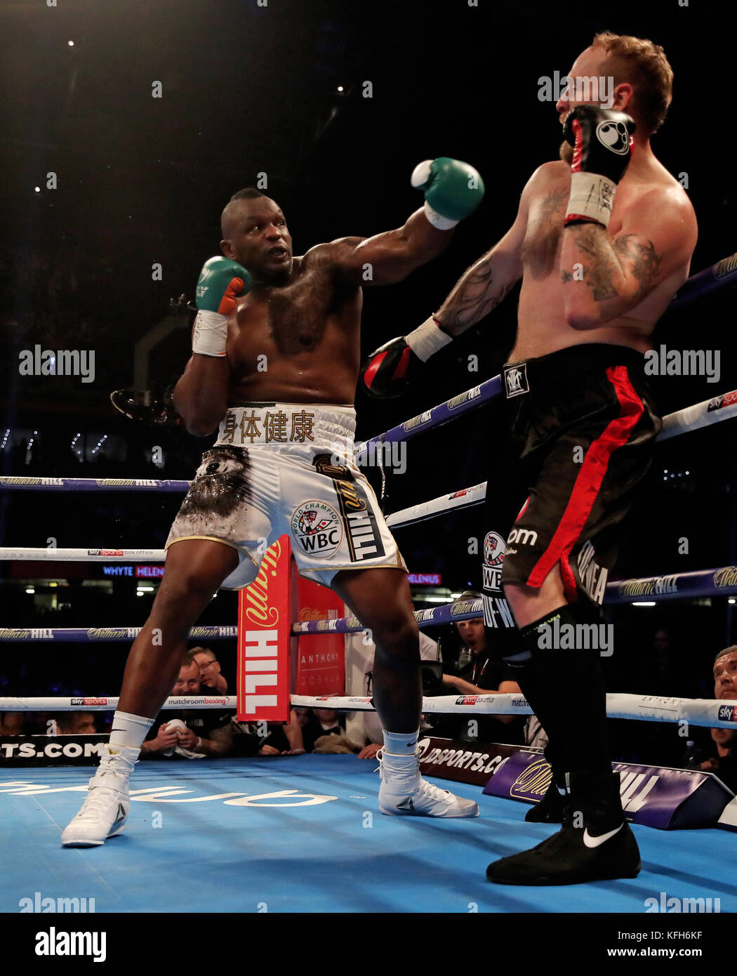 Dillian Whyte und Robert Helenius während des vakanten WBC Silver Heavyweight Title-Bout im Fürstentum Stadium, Cardiff. DRÜCKEN SIE VERBANDSFOTO. Bilddatum: Samstag, 28. Oktober 2017. Siehe PA Story BOXING Cardiff. Das Foto sollte lauten: Nick Potts/PA Wire Stockfoto