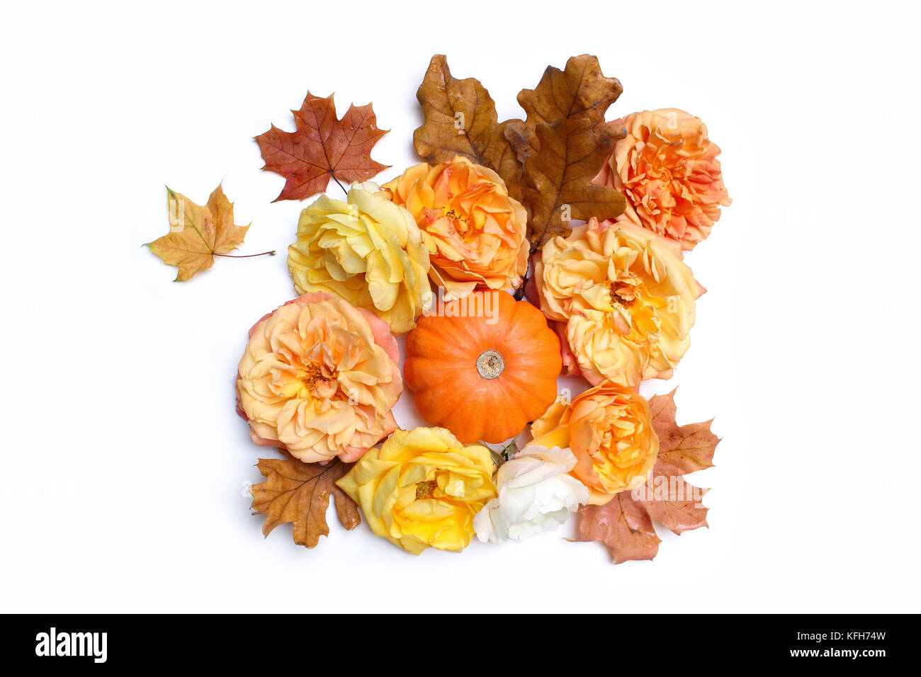 Herbst blumige Komposition aus bunten Ahorn, Eiche Blätter, orange Kürbis und Ausbleichen Rosen auf weißem Hintergrund. fallen und Danksagung Konzept. eingerichteten Lager flach Fotografie legen. Ansicht von oben. Stockfoto