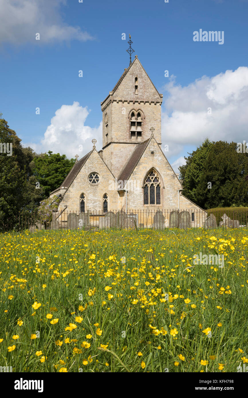 St. Nicholas Kirche und Bereich der gelben Butterblumen im Frühjahr, Hatherop, Cotswolds, Gloucestershire, England, Vereinigtes Königreich, Europa Stockfoto