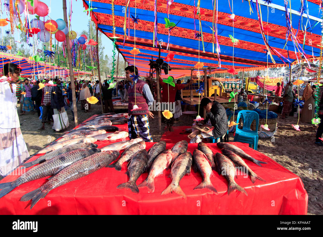 Ein Fisch an poradaha Mela garidaha Fluss in der Nähe von bogra gabtali upazila Bezirk in Bangladesch. Die wichtigsten Attraktionen dieser 150 Jahre alten tradit Stockfoto