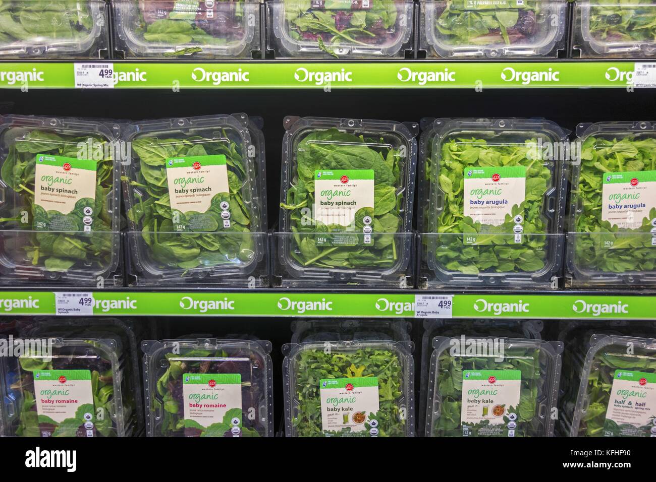 Lebensmittel aus ökologischem Landbau (Baby Spinat, Arugula, Grünkohl, Romanischer Salat) verschlossene, versiegelte Behälter im Lebensmittelgeschäft „Save on Foods“ Stockfoto
