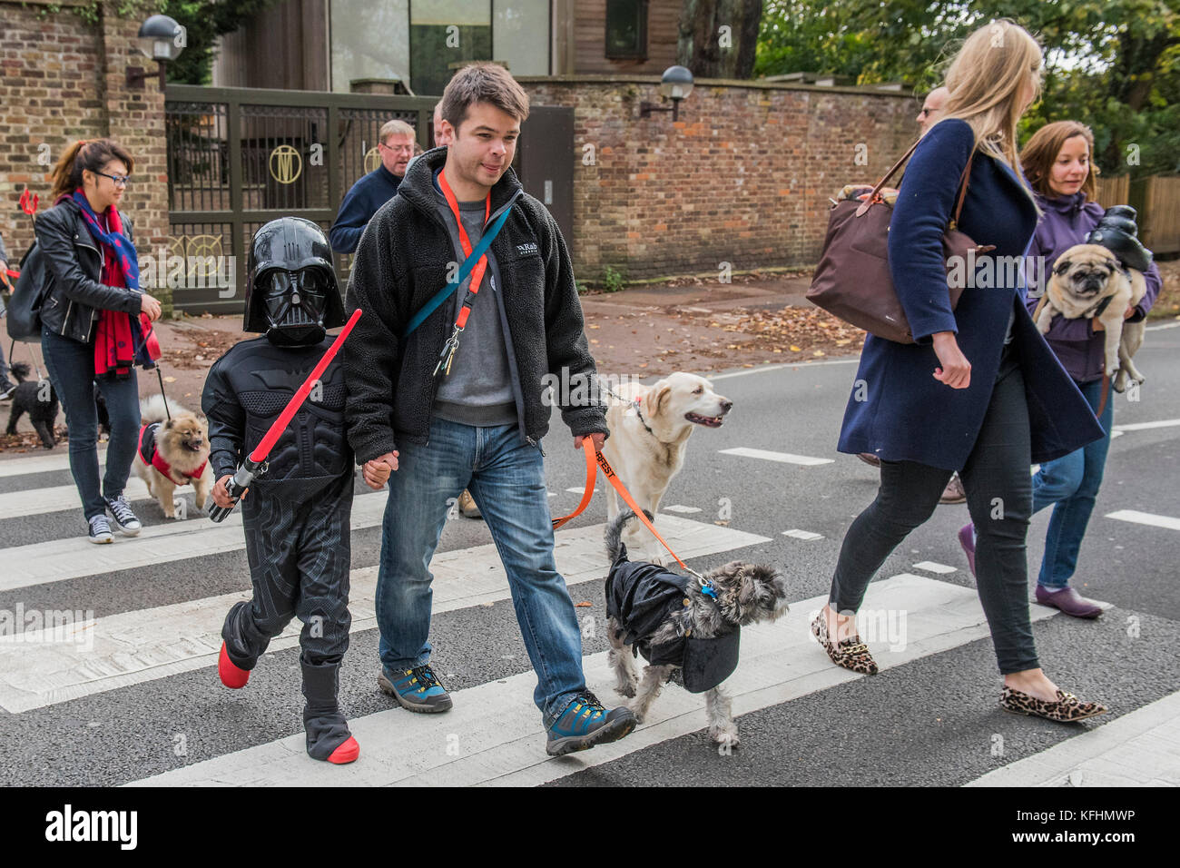 Hampstead Heath, London, UK. 29 Okt, 2017. Ein charity Halloween Hund spazieren und Fancy Dress zeigen, indem sie alle Hunde Materie auf der Spanier Inn, Hampstead organisiert. London, 29. Okt 2017. Credit: Guy Bell/Alamy leben Nachrichten Stockfoto