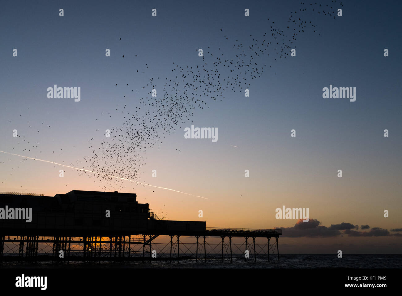 Aberystwyth Wales UK, Sonntag, 29. Oktober 2017 UK Wetter: Bei Sonnenuntergang an einem glorreichen klaren und kalten Abend fliegen Tausende von winzigen Starlingen in den Himmel über Aberystwyth, bevor sie sich unter dem Pier der Stadt für die Nacht aufhalten. Nachdem die Sommermonate in Skandinavien verbracht wurden, sind die Herden von Zugstarnen wieder zu ihrem Winterfuttergebiet und ihren Schlafplätzen im Vereinigten Königreich zurückgekehrt Foto © Keith Morris / Alamy Live News Stockfoto