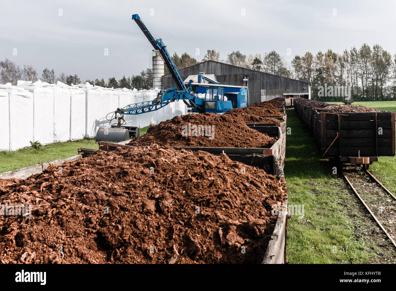 Quickborn, Deutschland. Oktober 2017. Torfzuchtgebiet in Quickborn, Deutschland, 19. Oktober 2017. Die Torfzucht in diesem Gebiet soll vor 2020 eingestellt werden. Quelle: Markus Scholz/dpa/Alamy Live News Stockfoto