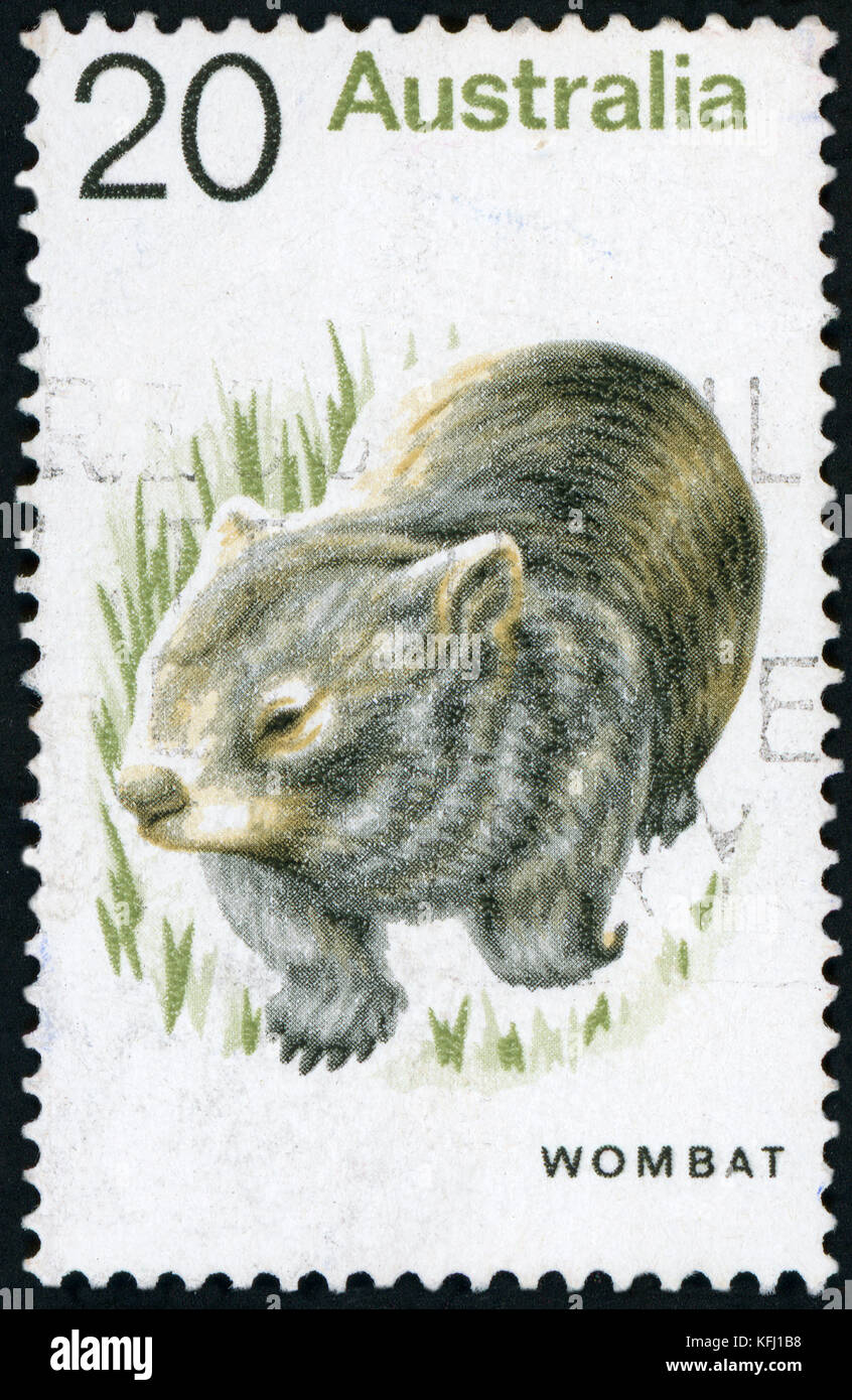 Briefmarke (Australien - Wombat) Stockfoto