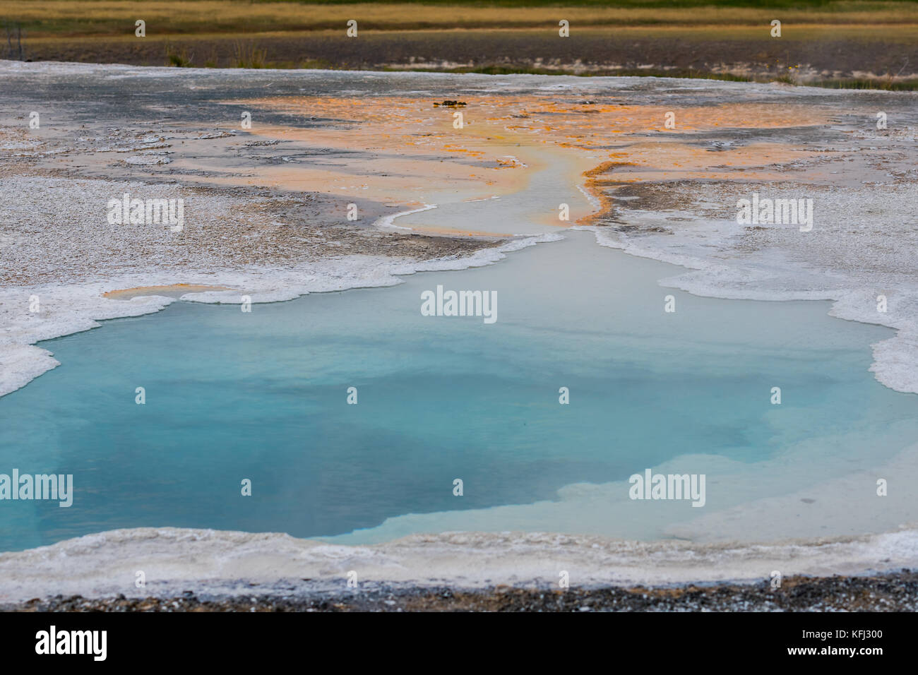 Hot Springs Pool im Yellowstone fließt in Schwefel Trail Stockfoto