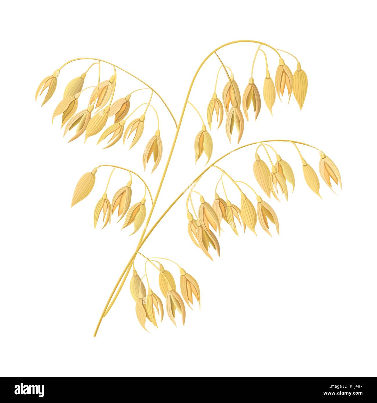 Weizenähren, Gerste. Müsli 3d Symbol Vektor. Körner und Ohren. erntezeit Samen und Pflanzen Stock Vektor