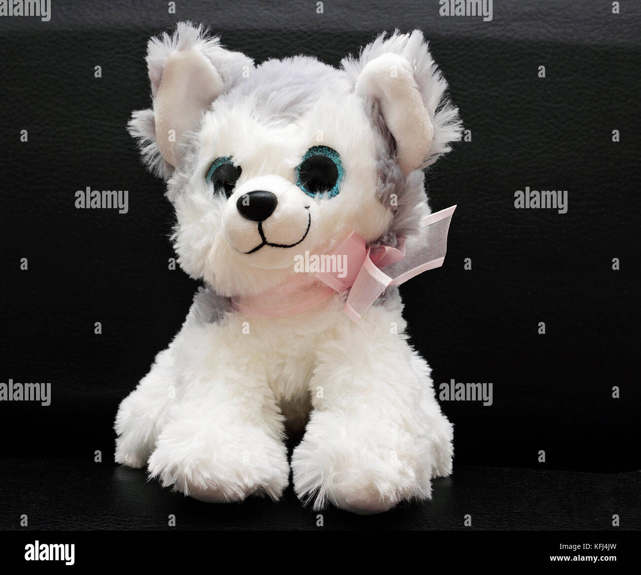 Plüschtier kleine weiße cute doggie auf schwarzem Hintergrund isoliert. Stockfoto