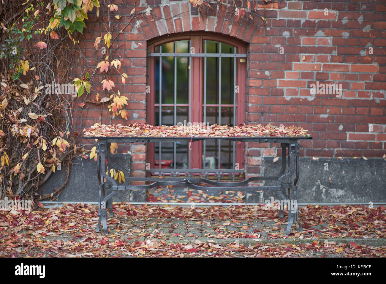 Vergitterten Fenster in eine Mauer und einen Tisch mit Laub Botanischen Gärten Wroclaw Niederschlesien Polen Stockfoto
