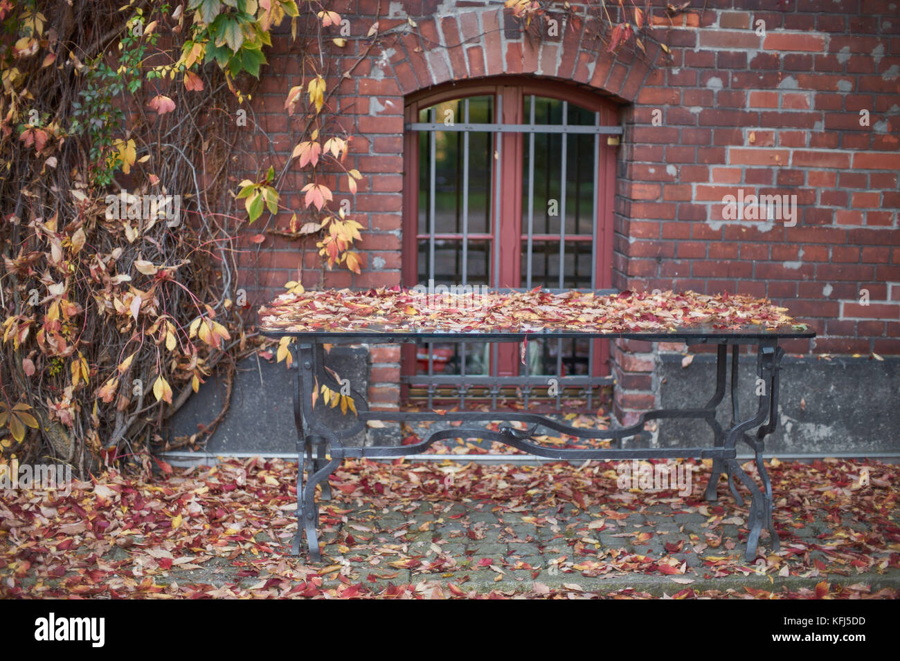 Vergitterten Fenster in eine Mauer und einen Tisch mit Laub Botanischen Gärten Wroclaw Niederschlesien Polen Stockfoto