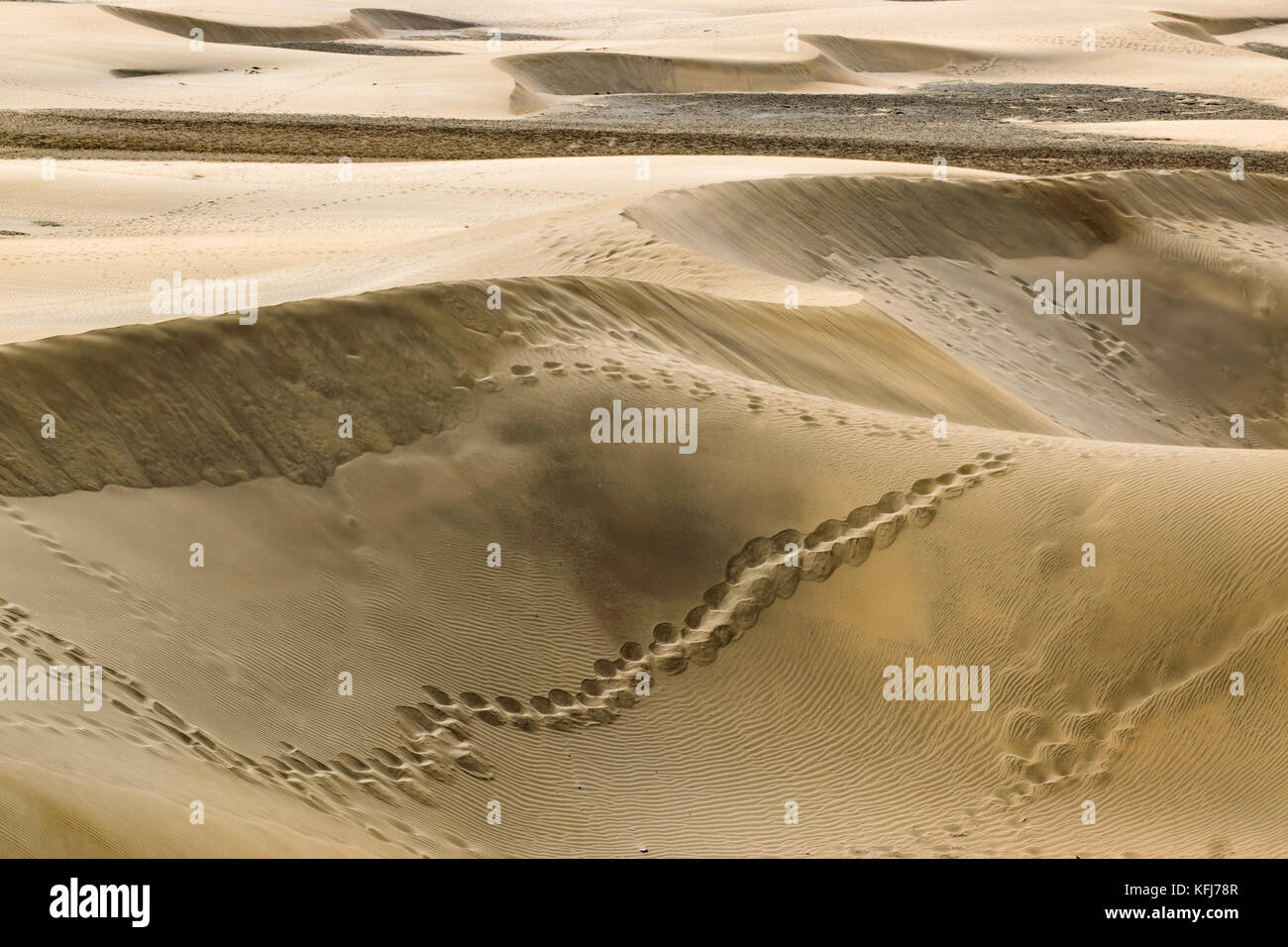 Ein Blick auf vastity von Dunas de Maspalomas auf Gran Canaria Insel, mit seinen goldenen Dünen mit einzigartigen Formen Stockfoto