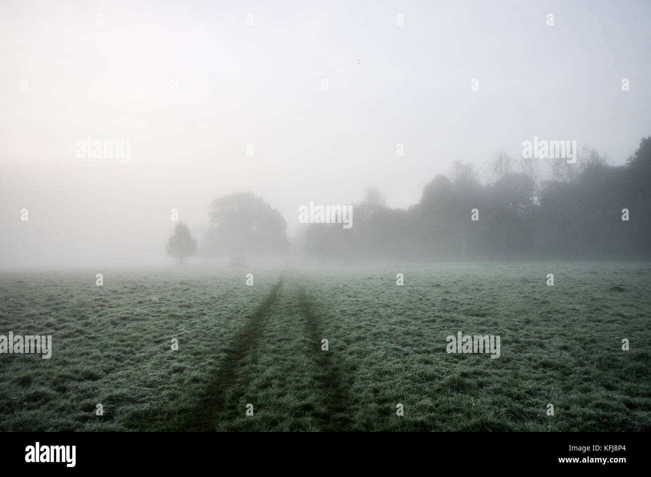 Dicke herbstlichen Nebel um Landschaft von Sussex in der Nähe von Shipley Stockfoto