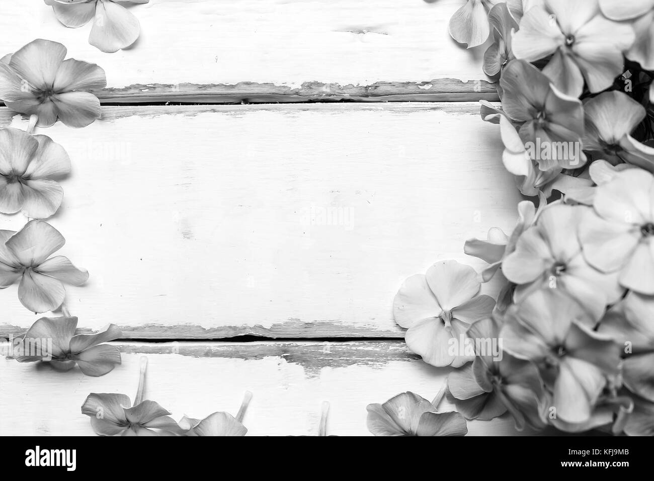 Rahmen von Blumen auf dem Tisch Stockfoto