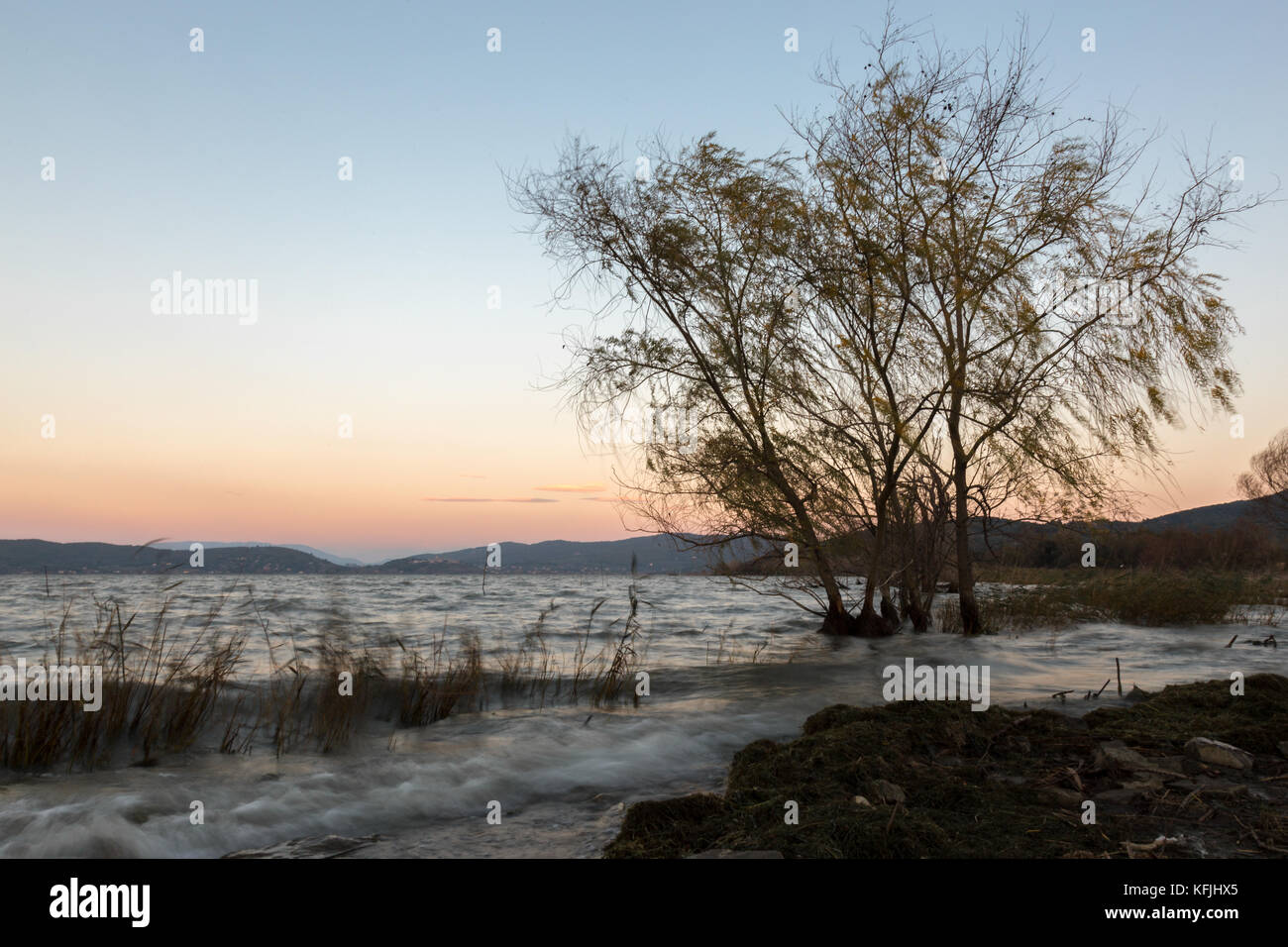 Starker Wind am See, mit unscharfen Bäume Bewegung und Wellen auf dem Wasser, mit einem sauberen Himmel mit dunklen Farben im Hintergrund Stockfoto