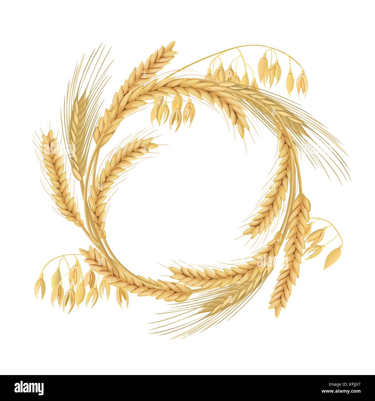 Kranz aus Weizen, Gerste, Hafer und Roggen Spikes. Vier Getreide Körner mit Ohren, und freier Speicherplatz Stock Vektor