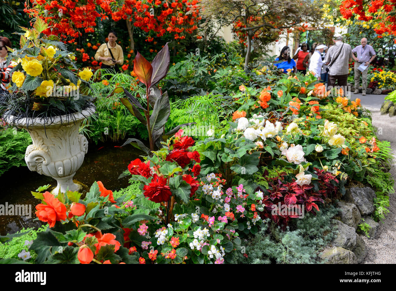 Blumenschmuck im Wintergarten in den Fitzroy Gardens in Melbourne, Victoria, Australien Stockfoto