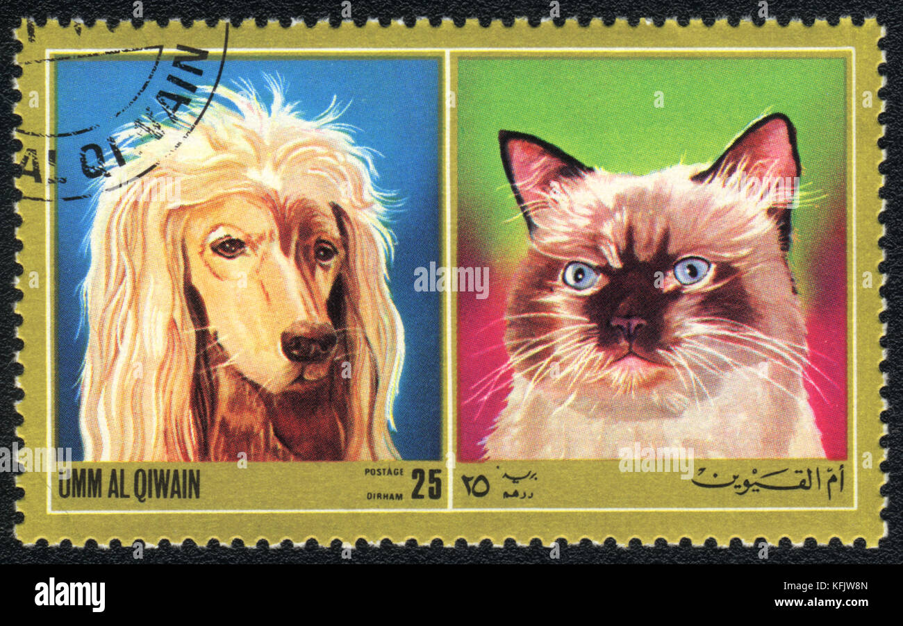 Eine Briefmarke In Umm Al Qiwain Gedruckt Zeigt Katze Und