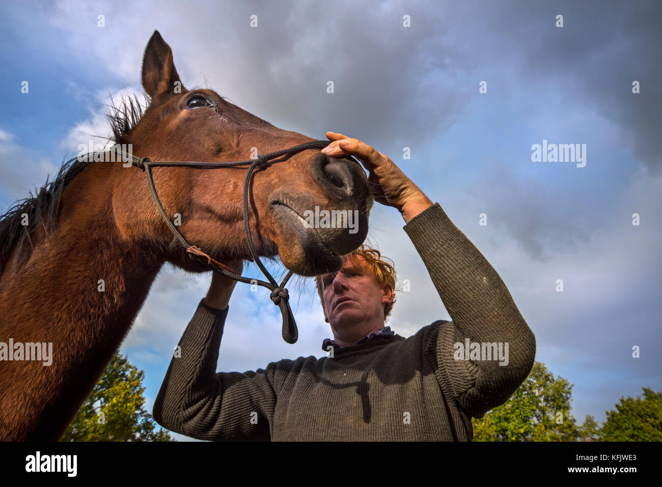 Nahaufnahme Portrait von pferdeflüsterer/Natural Horsemanship Praktiker Holding braun belgische Warmblut Pferd im Freien Stockfoto