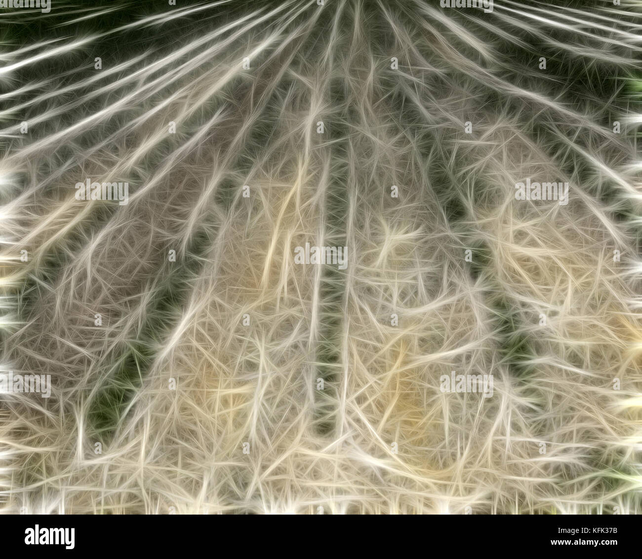 Abstrakt fractal hellen Hintergrund. video Perspektive, Zeilen in einem Getreidefeld Stockfoto