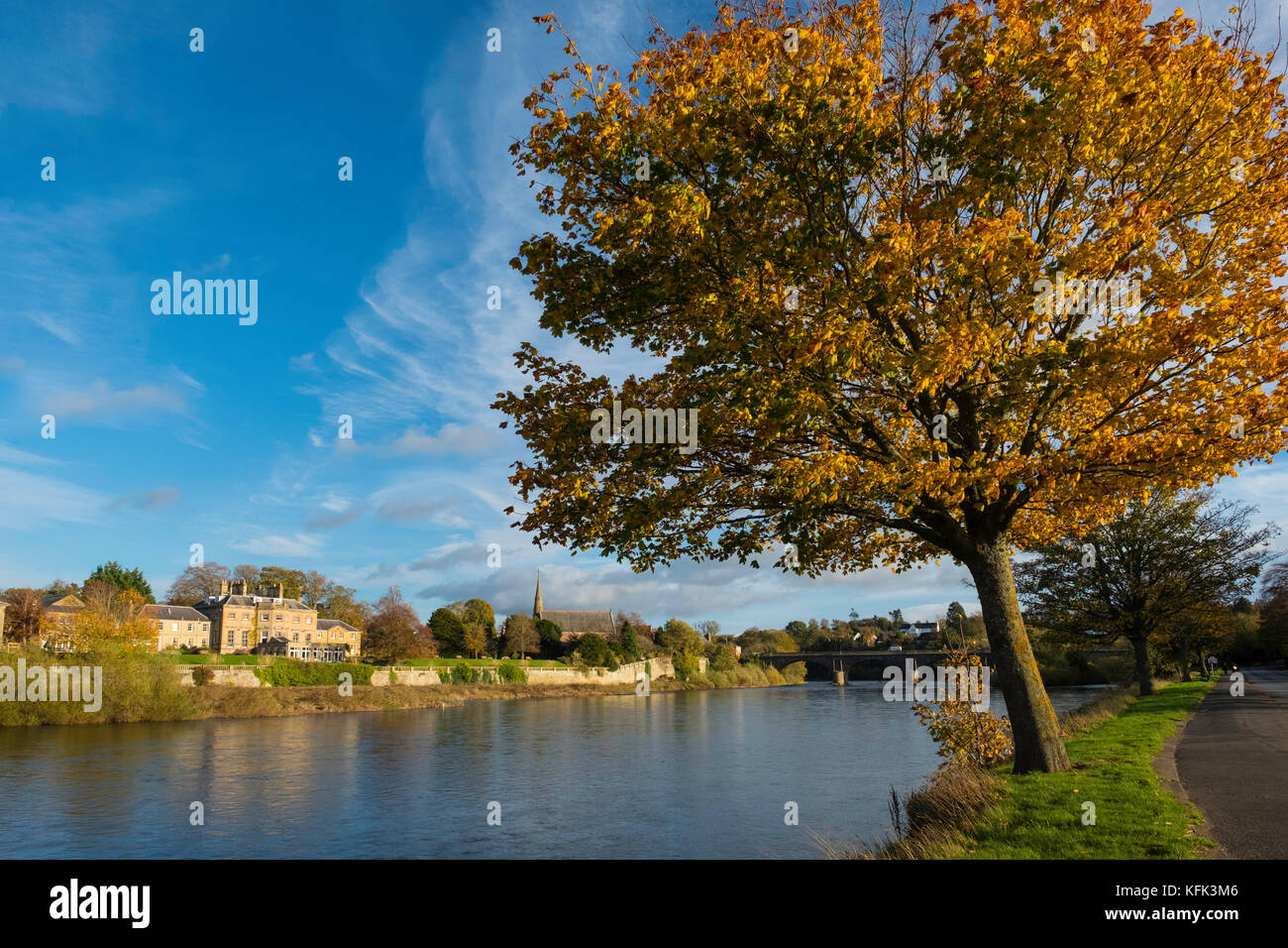 Blick auf den Fluss Tweed in Kelso an der schottischen Grenze, Schottland, Großbritannien Stockfoto