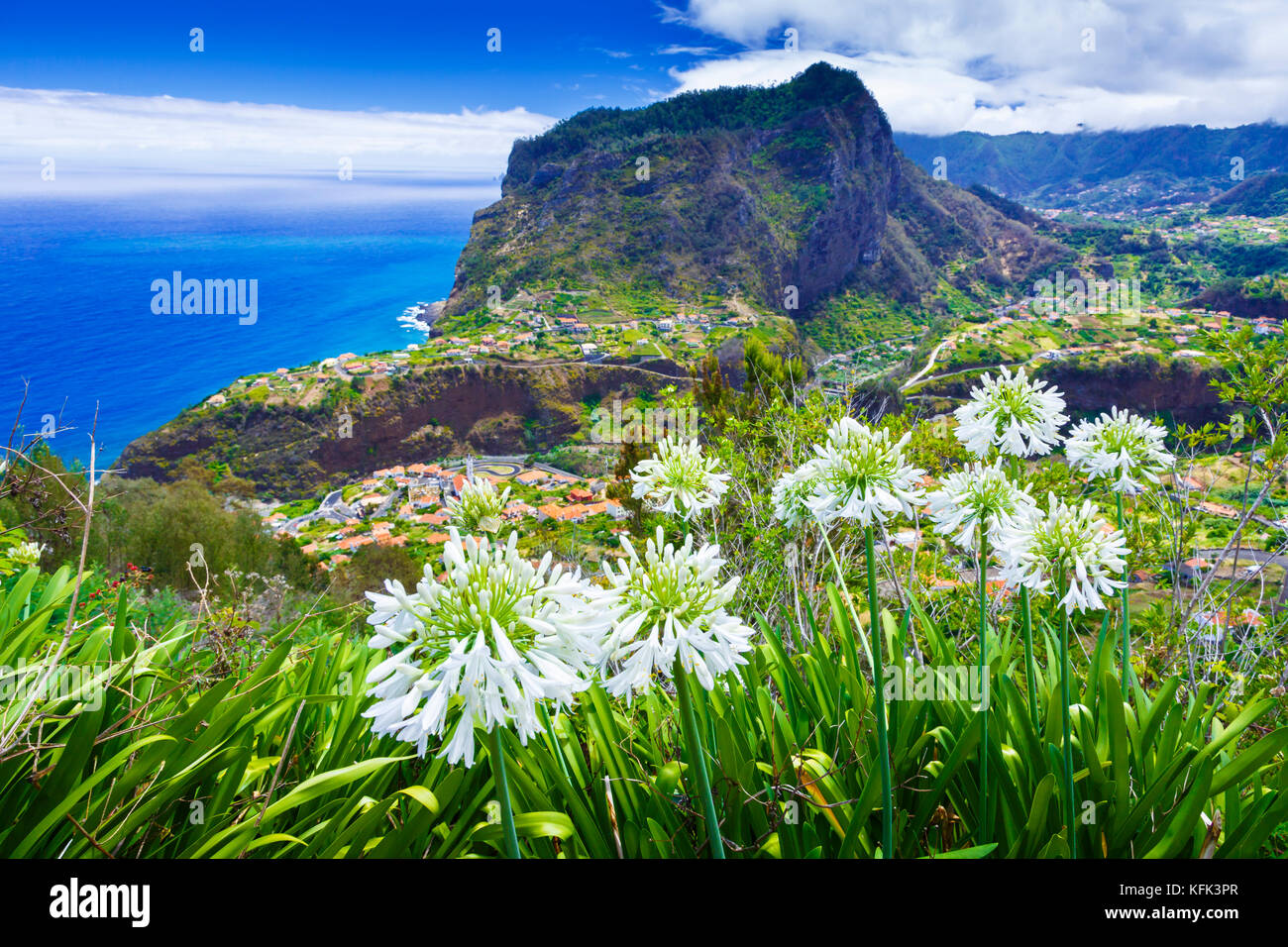 Agapanthus Blumen und Küstenlandschaft. Stockfoto