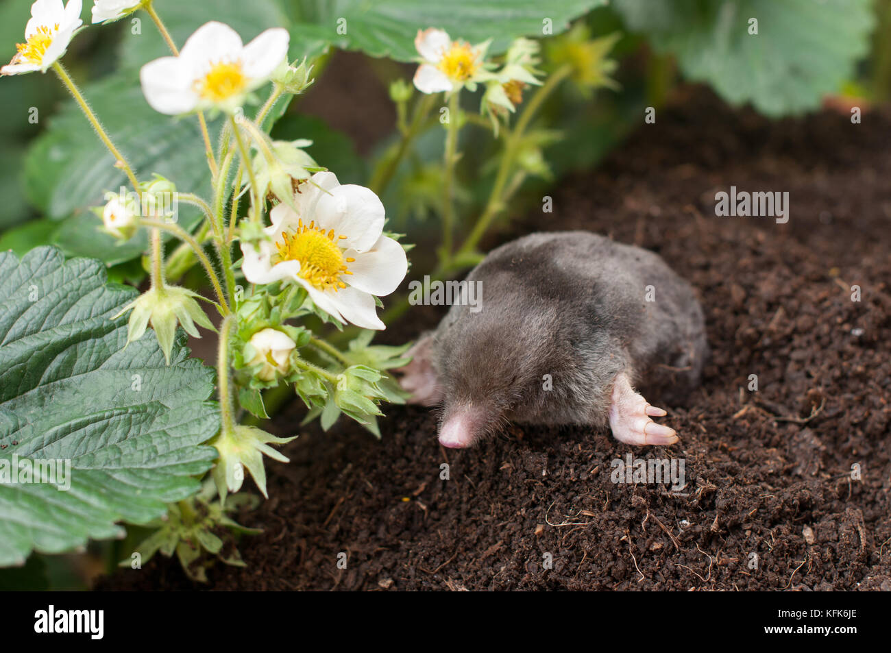 Blind hole Fotos und Bildmaterial in hoher Auflösung Alamy