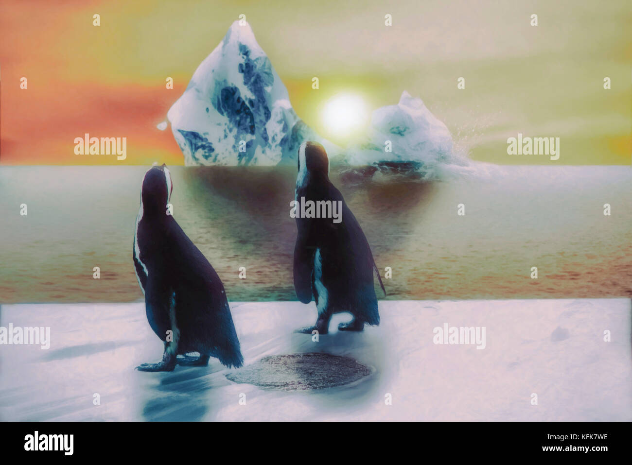 Pinguin bei Eis und Schnee, Sonnenuntergang mit Rissbildung Eisberg, globale Erwärmung Konzept, zeichnen Sie Effekt Stockfoto