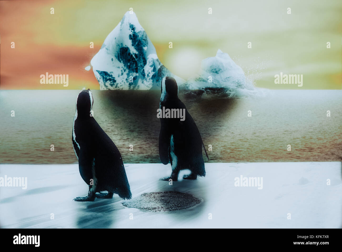 Pinguin bei Eis und Schnee, Sonnenuntergang mit Rissbildung Eisberg, globale Erwärmung Konzept Stockfoto