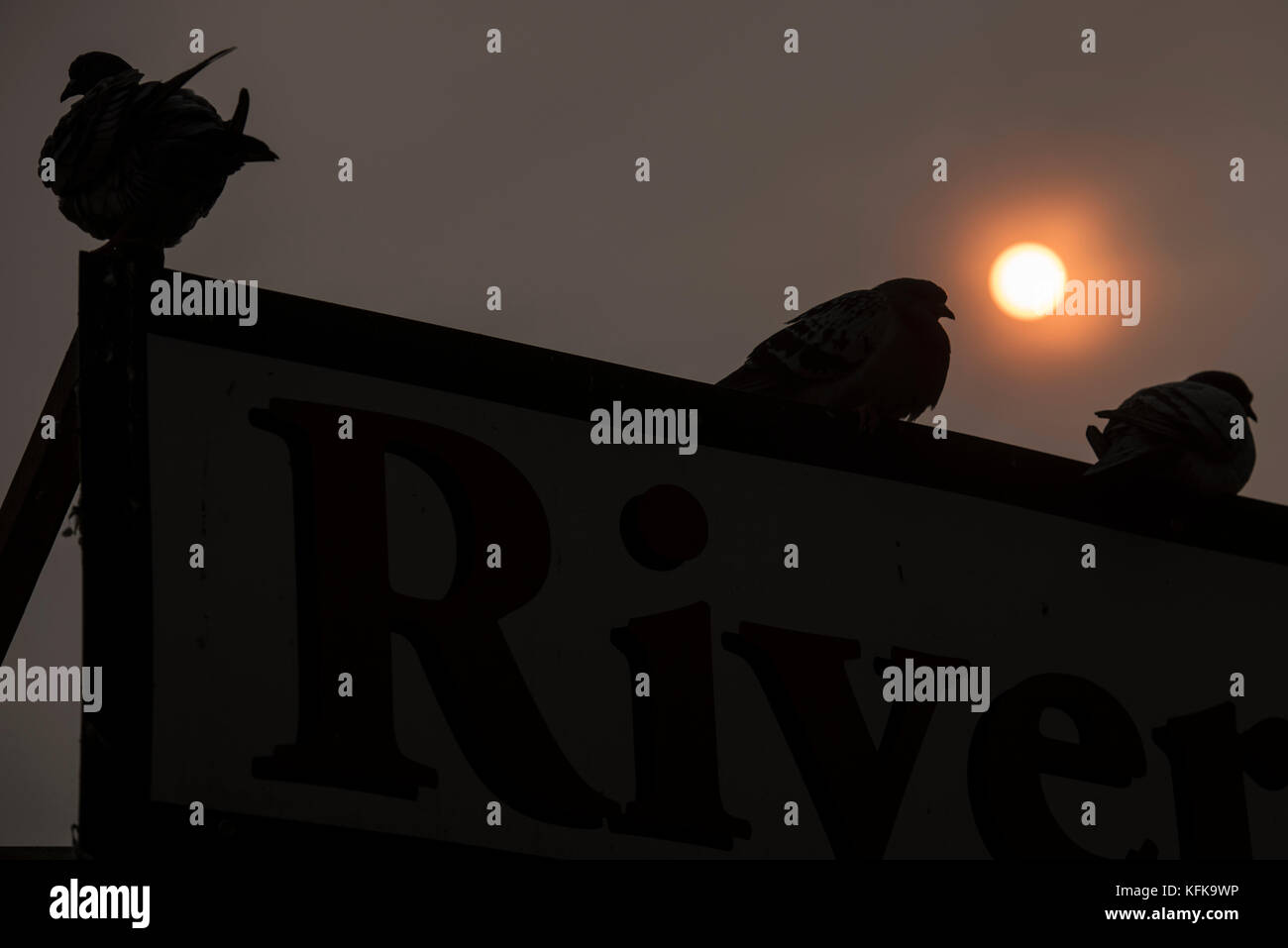 Stratford-upon-Avon, Warwickshire, Großbritannien. 16. Oktober 2017. Besucher in Stratford-upon-Avon zu warme Wetter und die "Hurricane" phenom behandelt Stockfoto