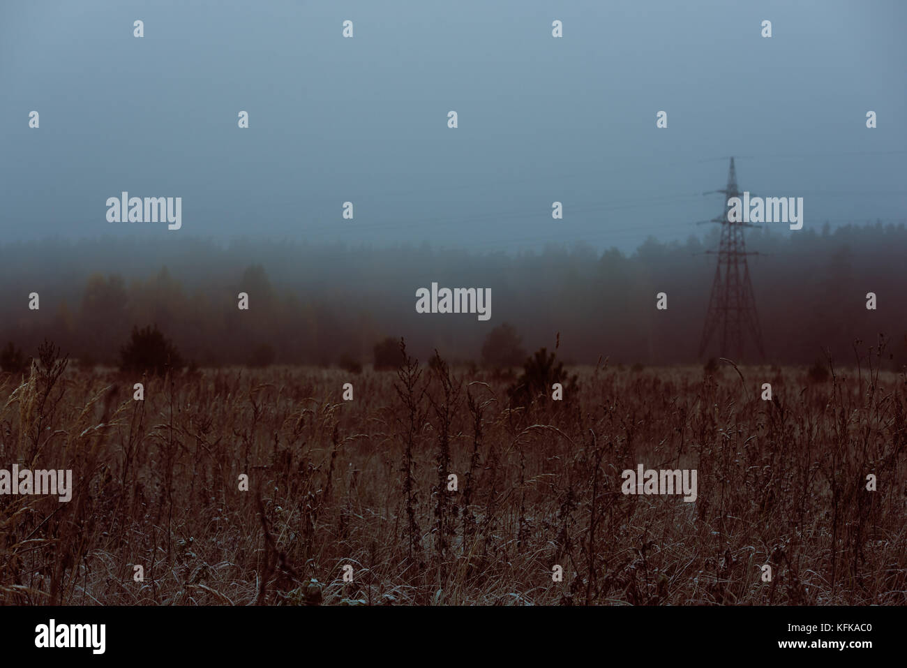 Wiese in einer kalten, nebligen Morgen im Herbst mit Strommast, Vintage Effekt Stockfoto