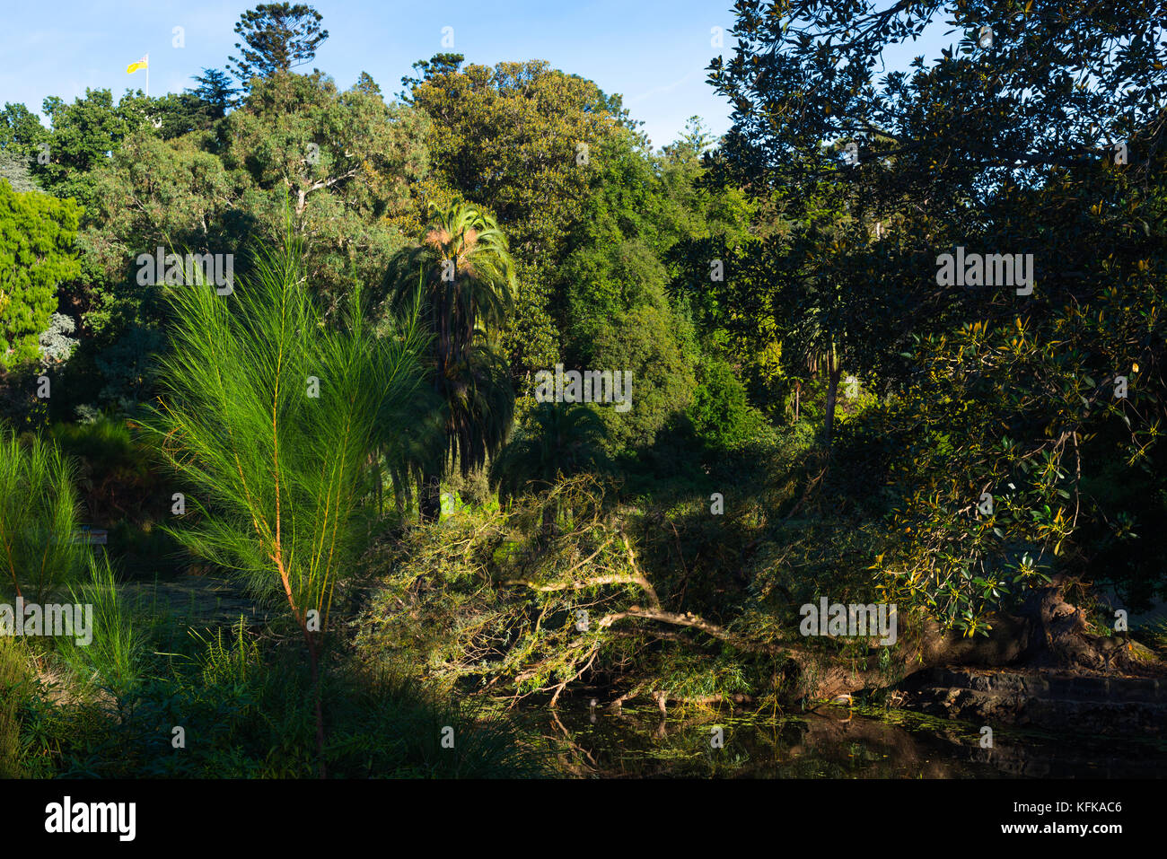 Die Royal Botanic Gardens, Melbourne, Australien Stockfoto