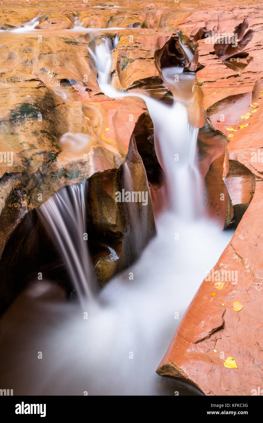 Der Fluss der Coyote Gulch schneidet durch den Sandstein in der Unterseite des Desert Canyon, wodurch einzigartige Formen von einem Wasserfall Stockfoto