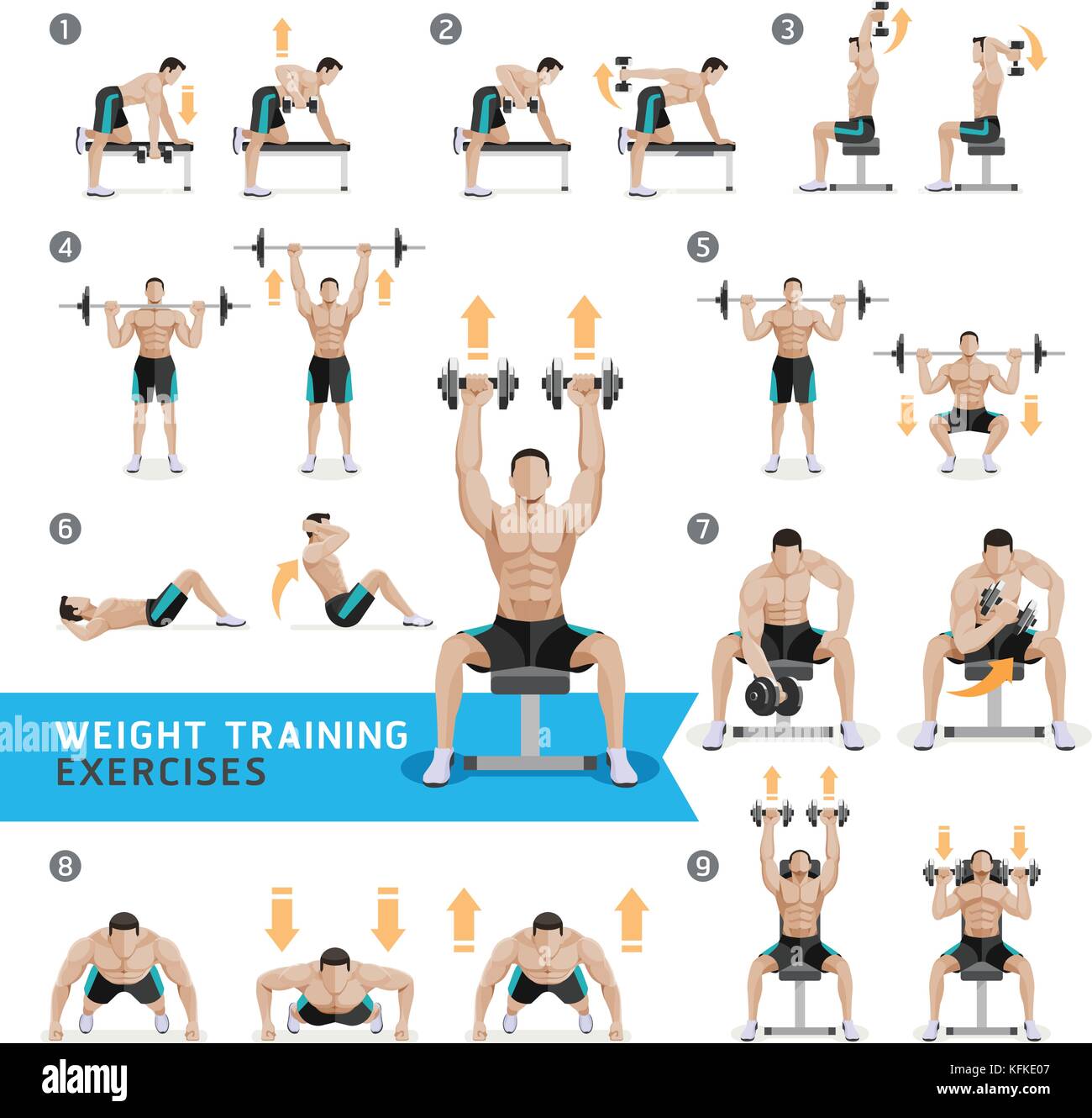 Hantel Übungen und Workouts Weight training. Vector Illustration  Stock-Vektorgrafik - Alamy