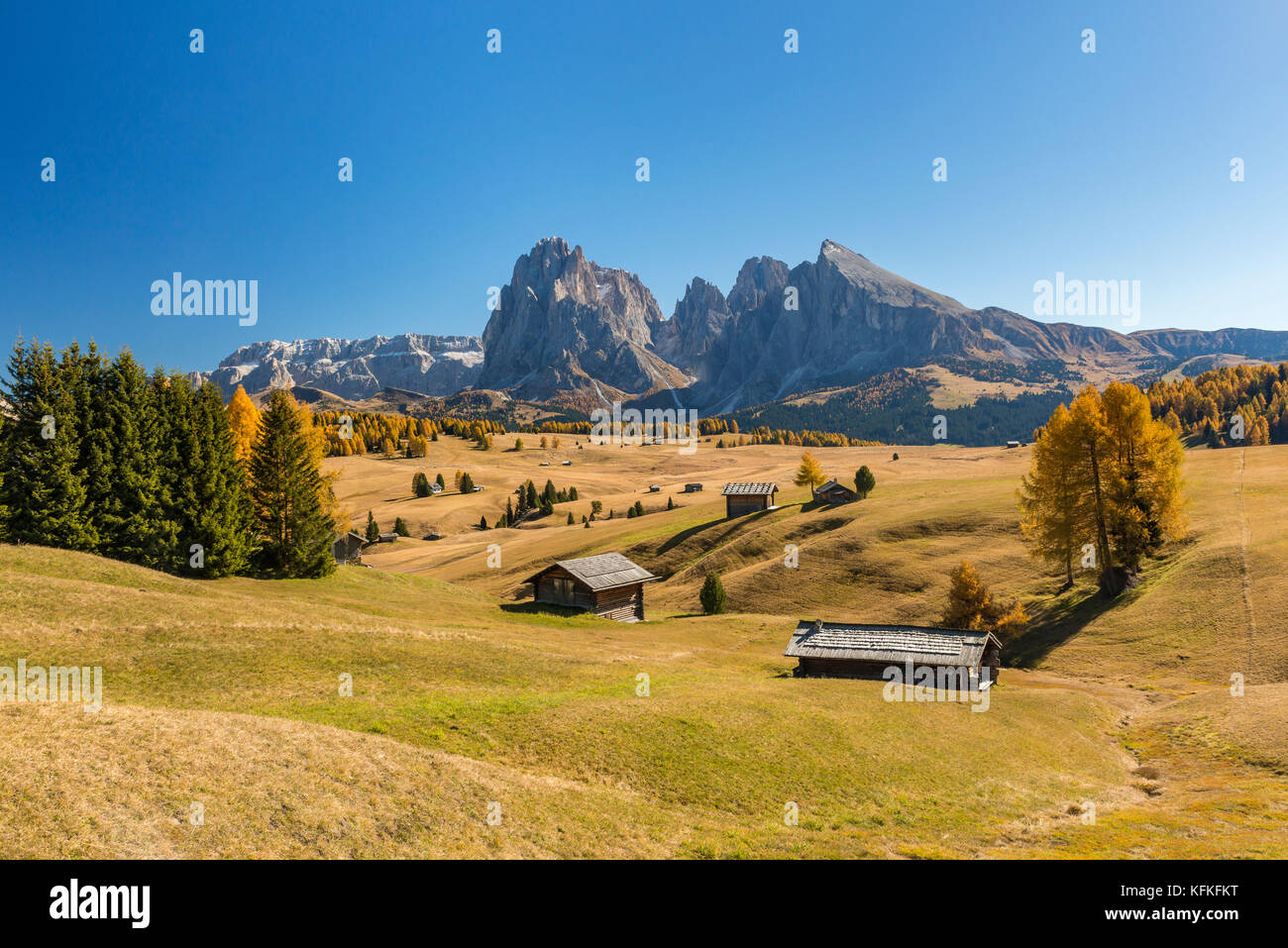 Blick über die herbstlichen Seiser Alm auf den Langkofel und Plattkofel, Almhütten, Dolomiten, Südtirol, Italien Stockfoto