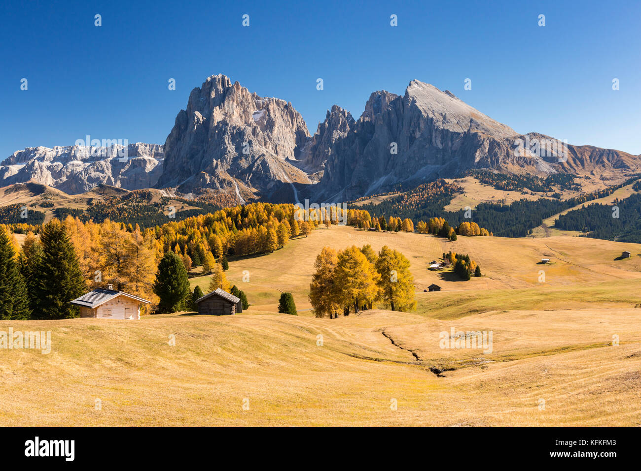 Blick ber Die Herbstlichen Seiser Alm Auf Den Langkofel Und Plattkofel blick-ber-die-herbstlichen-seiser-alm-auf-den-langkofel-und-plattkofel