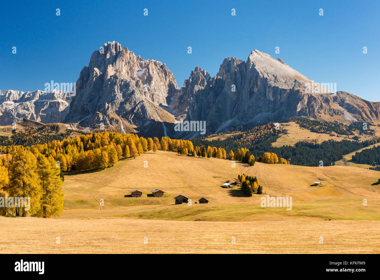 Blick über die herbstlichen Seiser Alm auf den Langkofel und Plattkofel, Almhütten, Dolomiten, Südtirol, Italien Stockfoto