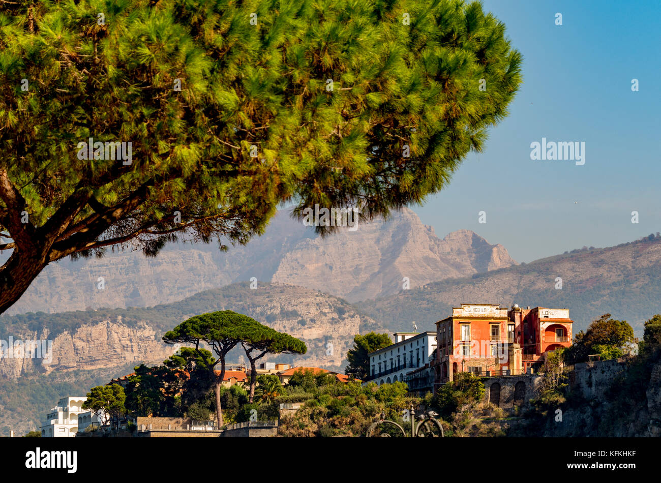 Stein Pinien und Hotels auf der Spitze einer Klippe Küste von Sorrento, mit Bergen in der Ferne. Sorrento. Italien. Stockfoto