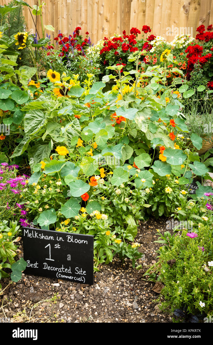 Detail der preisgekrönten Garten in Melksham in der Blüte Wettbewerb mit Gartenarbeit für Natur Stockfoto