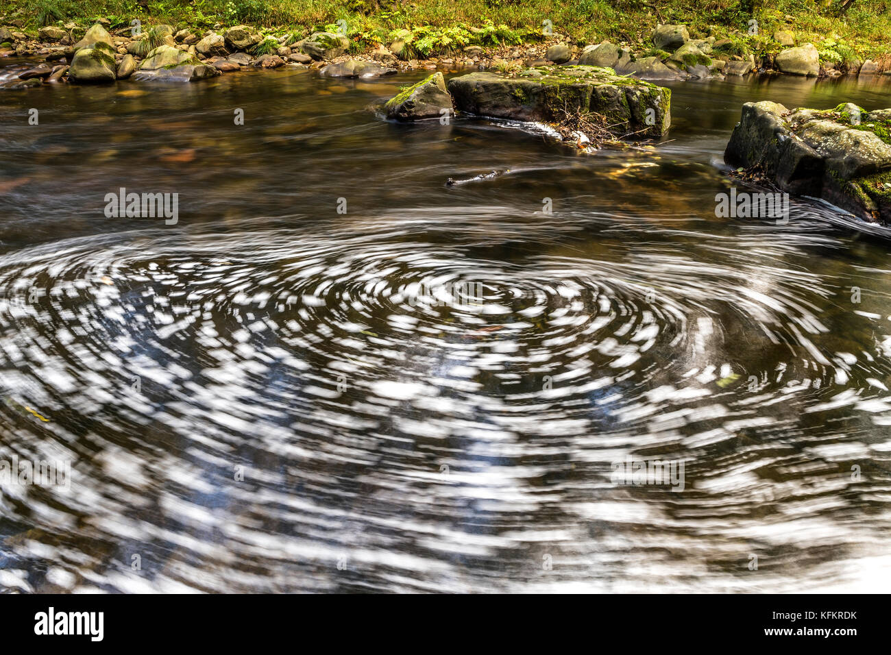 Weißes Wasser in einem Fluss, der einen Strudel mit Vegetation im Hintergrund bildet Stockfoto