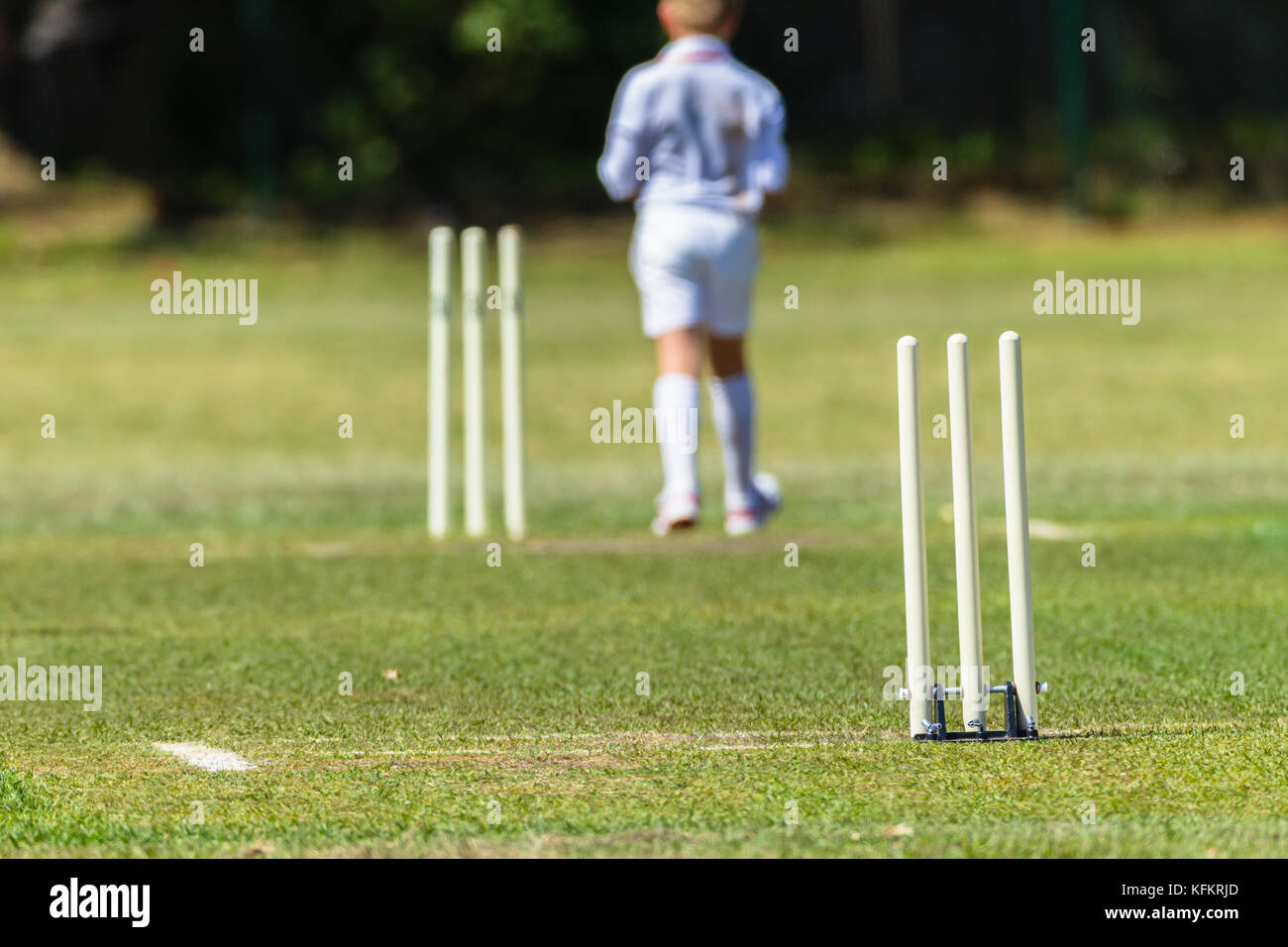 Kricket wickets Rasen junior player Bowler nicht identifizierten Maßnahmen abstrakt. Stockfoto